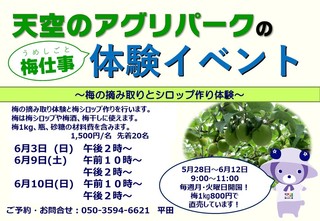 2018うめの通りの看板.jpg