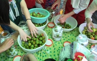 IMG_1173.jpg