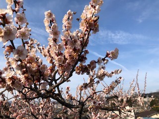 IMG_5669.jpg