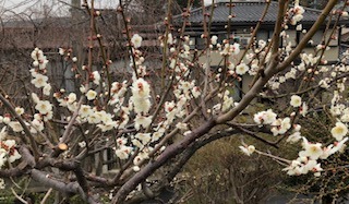 IMG_5690.jpg