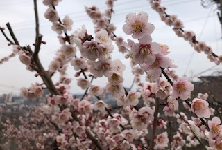 IMG_5691.jpg