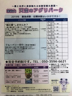IMG_5943.jpeg