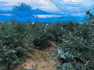 IMG_6357.jpg