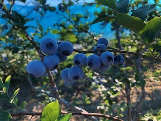 IMG_6372.jpg